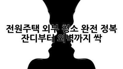 전원주택🏡 외부 청소 완전 정복! ✨잔디부터 외벽까지 싹🧹